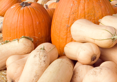 The image shows pumpkins and butternut squash surrounded by sunflowers, all placed on straw, creating a rustic, autumnal scene.