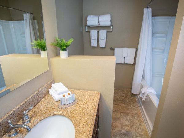 The image shows a clean bathroom with a sink, mirror, towels, plant, and a bathtub with a shower curtain.