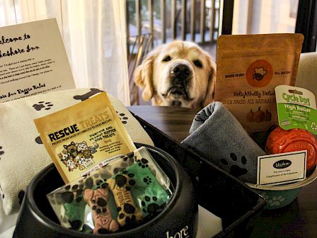 A dog looks at a basket filled with pet treats, toys, and items from Lakeshore Inn on a table, with a patio view through the window.