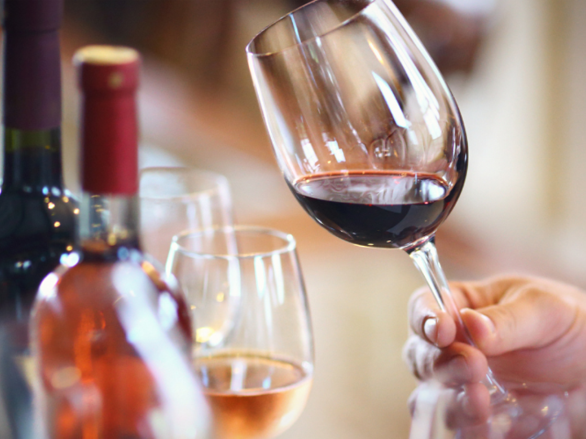 A hand holds a glass of red wine, surrounded by bottles and glasses of wine in a warm-setting, suggesting a tasting or gathering.