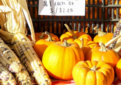 Small pumpkins and ears of decorative corn are displayed on a table, with a price sign indicating their cost.