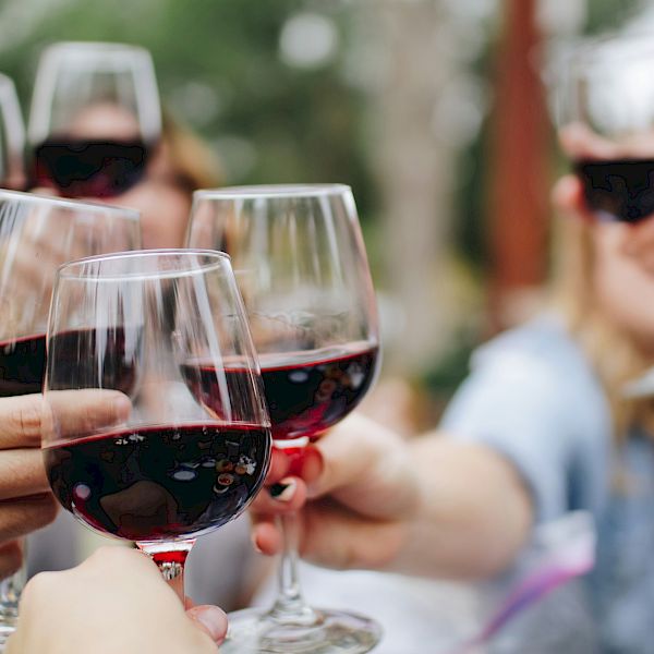 People clinking wine glasses in a toasting cheers, enjoying red wine together.
