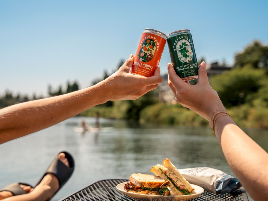 Two people clink bottles of beer (red and green cans) over a picnic by the water, with sandwiches on the table.