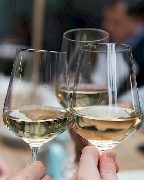 Two people clinking wine glasses in a cozy dining setting, toasting as blurred friends chat in the background.