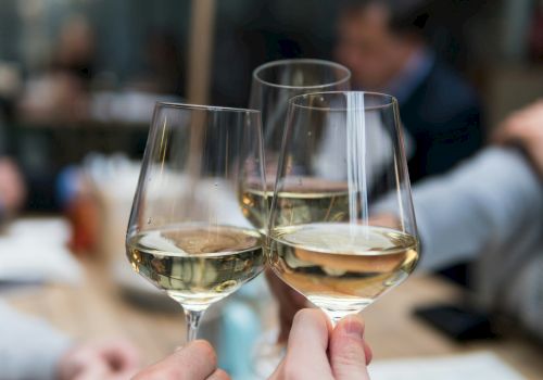 Two people clinking wine glasses in a cozy dining setting, toasting as blurred friends chat in the background.